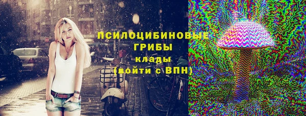 мдпв Пестово