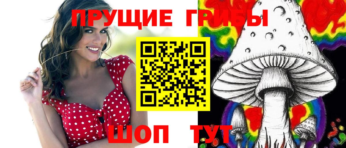 Галлюциногенные грибы ЛСД Родники